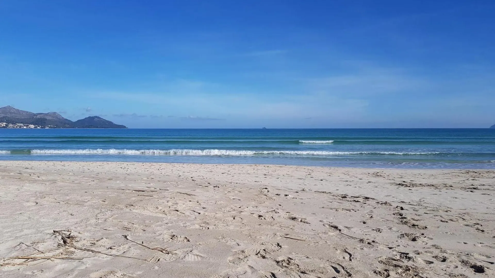 شقة Seafront Apartment, 200M From Beach بورت ذالكوذيا