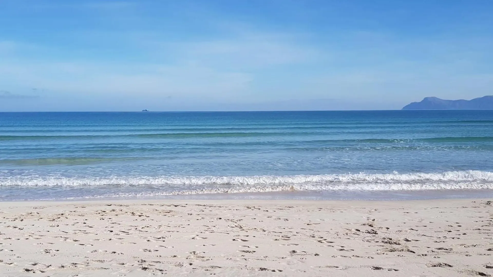 Seafront Apartment, 200M From Beach بورت ذالكوذيا إسبانيا